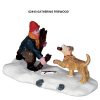 16632 17 PCS LEMAX PETS COLLECTORS - Image 8