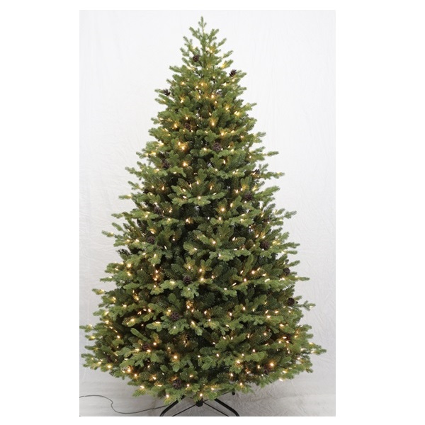 Colorado Pine Tree