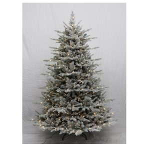 Alaska Pine Tree