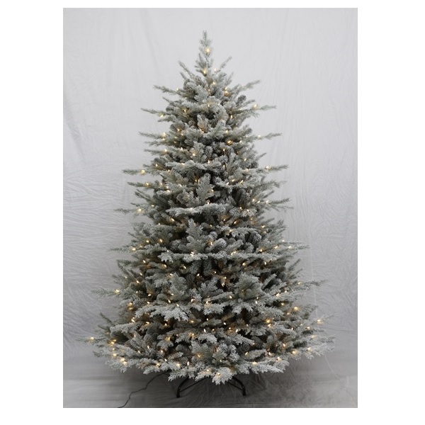 Alaska Pine Tree